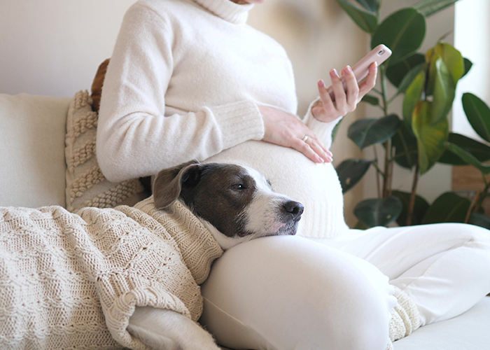 Como preparar seu animalzinho para a chegada do bebê